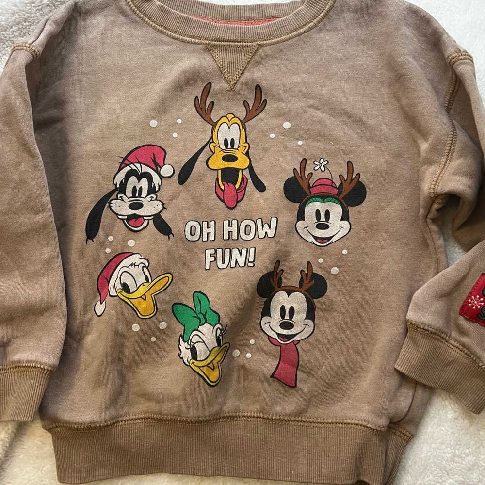 Disney Brown Kids Sweatshirt with Characters